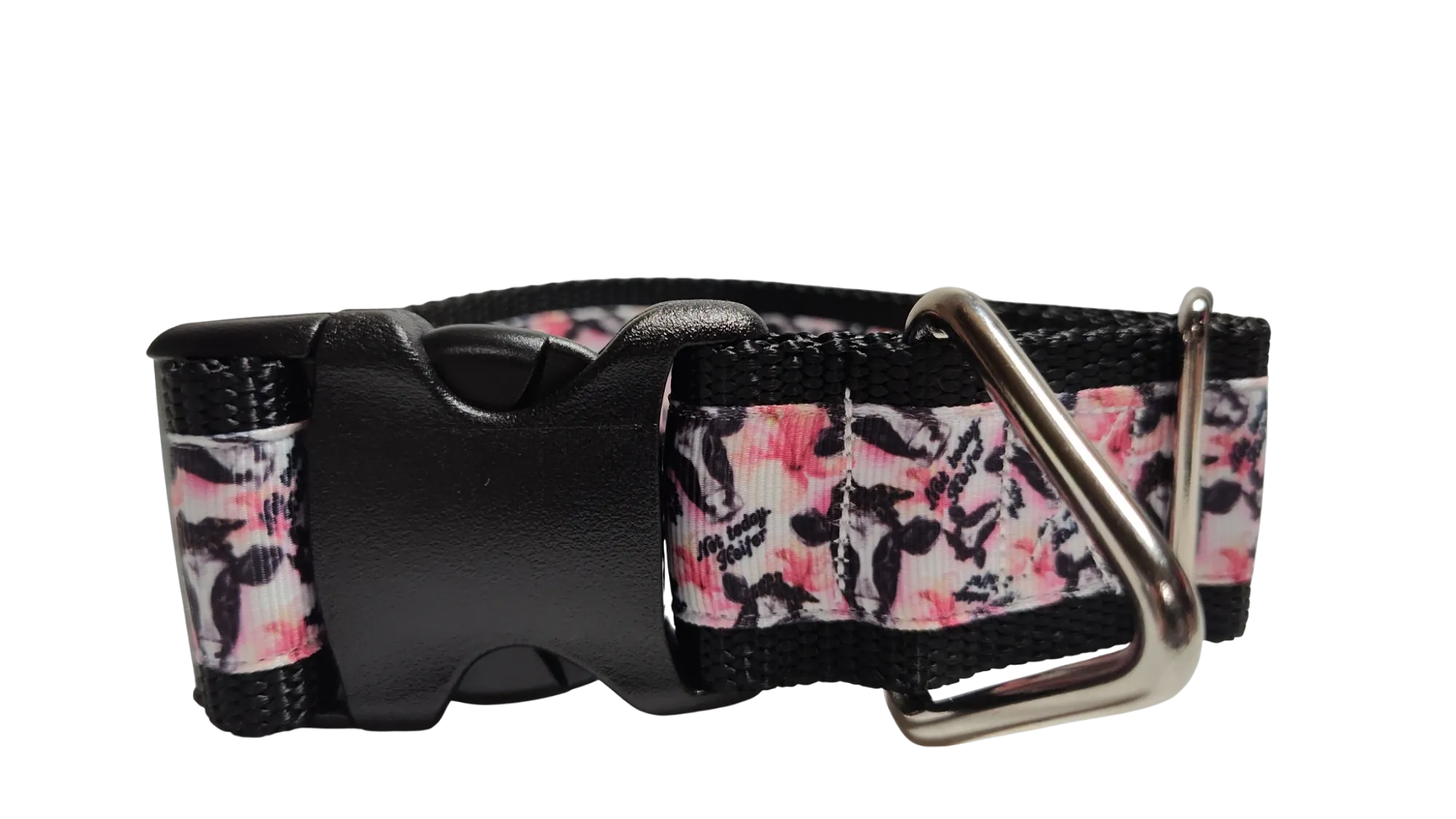 1.5" Wide Not Today Heifer Cow Nylon Dog Collar