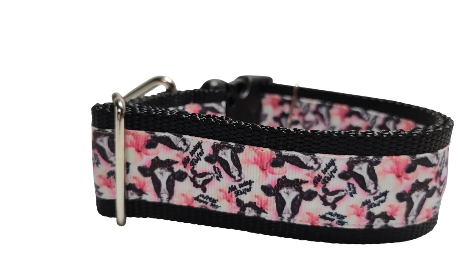 1.5" Wide Not Today Heifer Cow Nylon Dog Collar