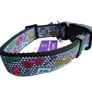 80's Style Nylon Dog Collar