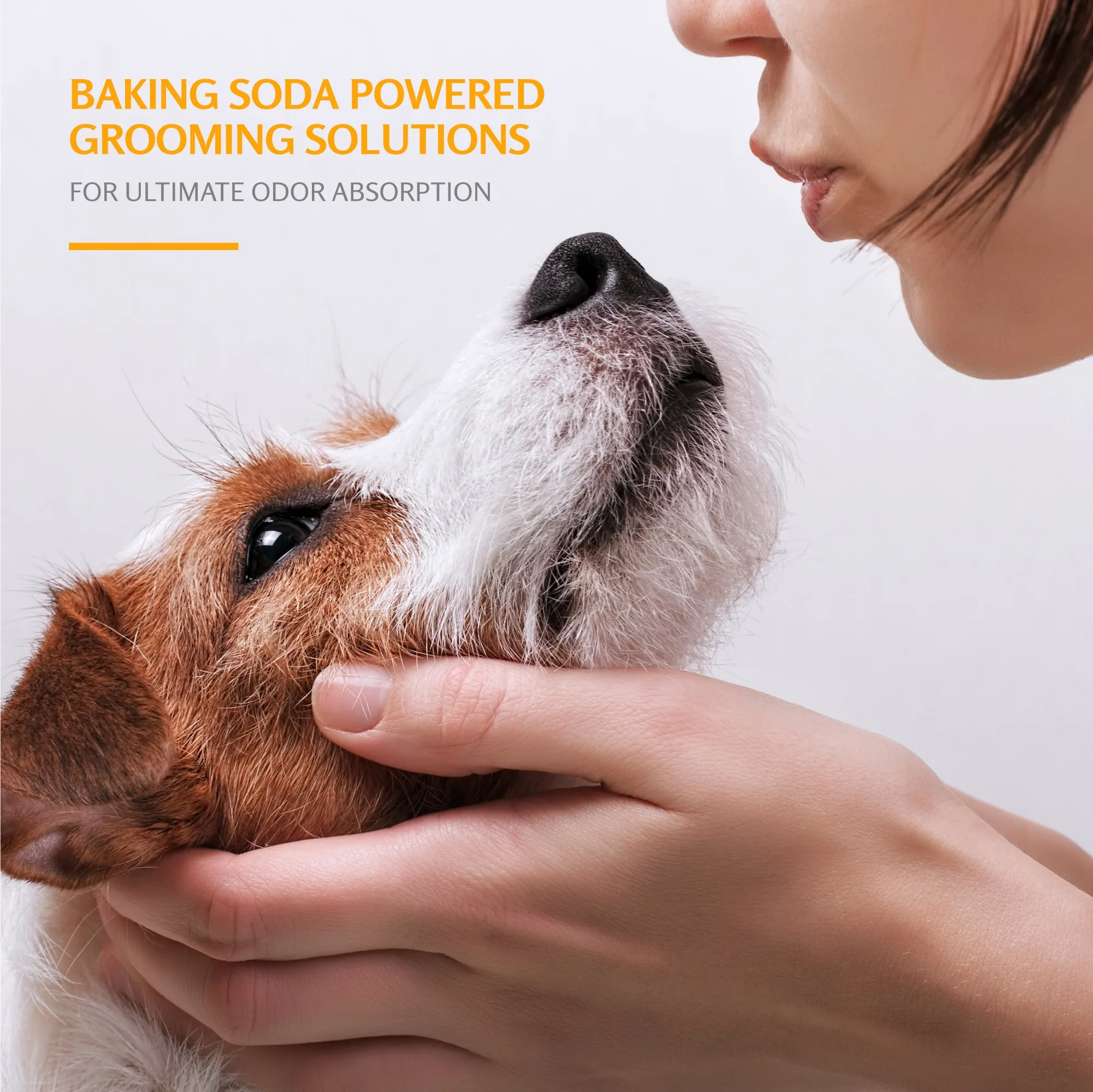 Arm and Hammer Tearless Puppy Shampoo