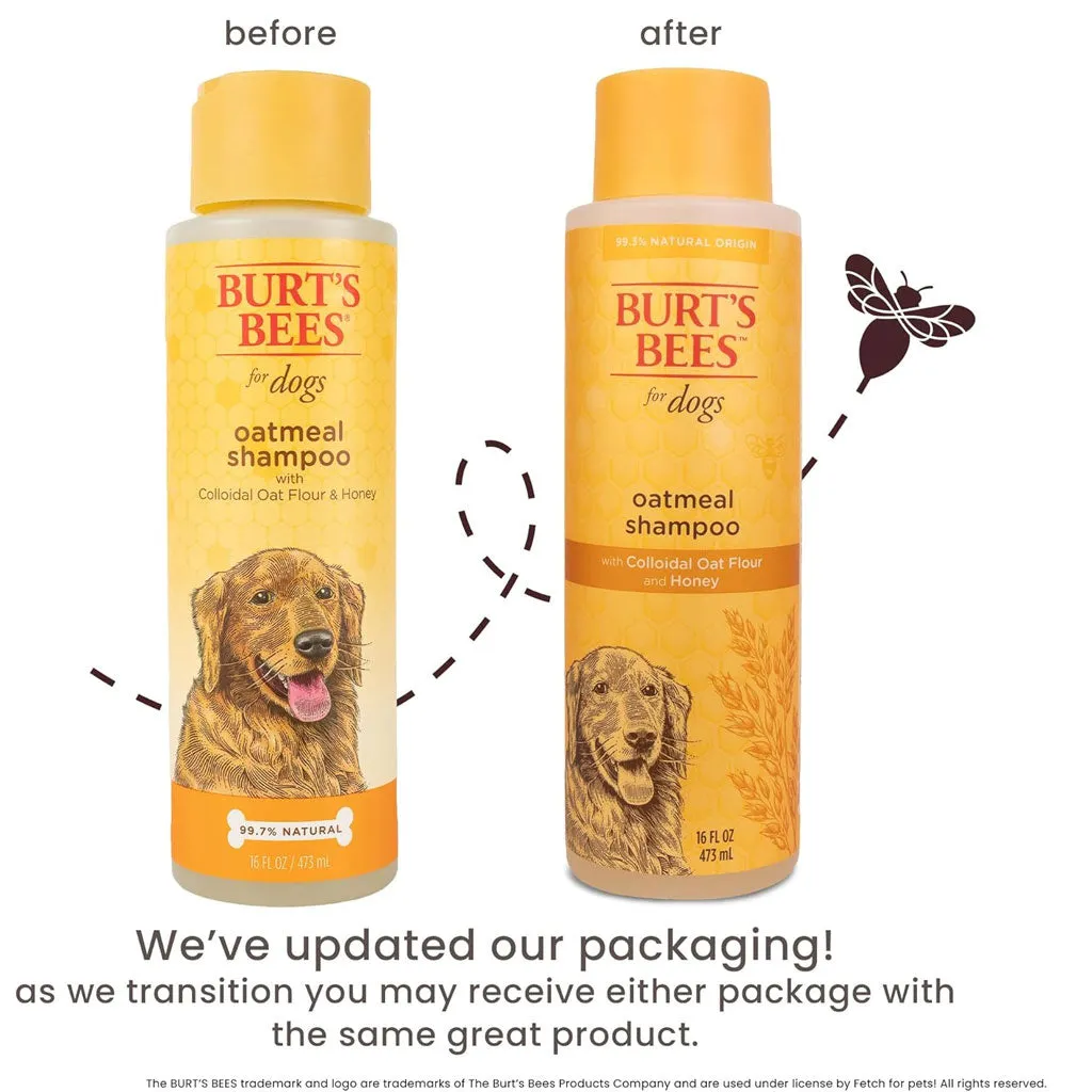 Burt's Bees Oatmeal Shampoo with Colloidal Oat Flour & Honey for Dogs, 16-oz