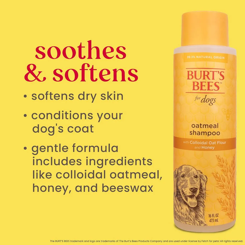 Burt's Bees Oatmeal Shampoo with Colloidal Oat Flour & Honey for Dogs, 16-oz