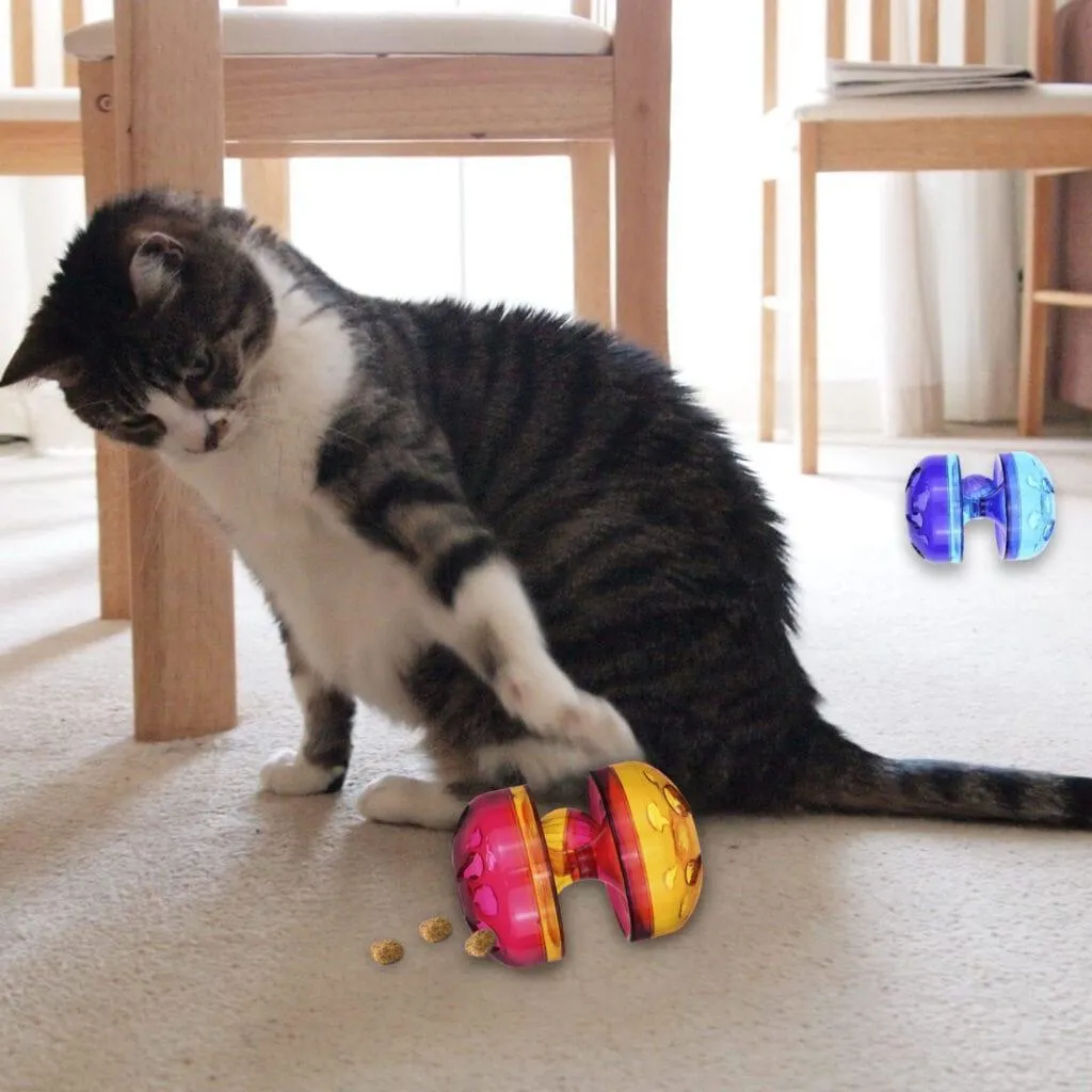 Cat Chase Toy Chase Me