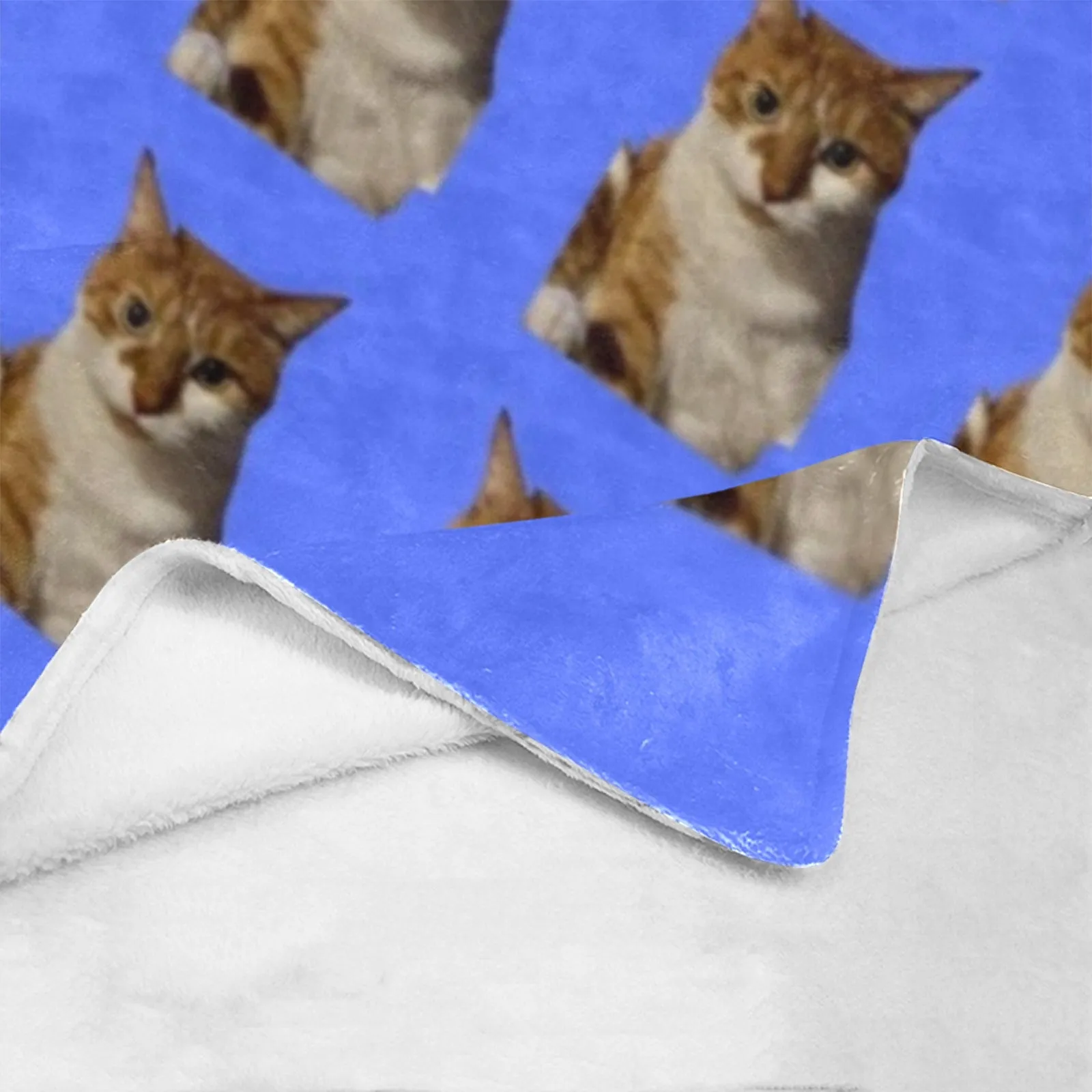 Diane's Cat Blanket