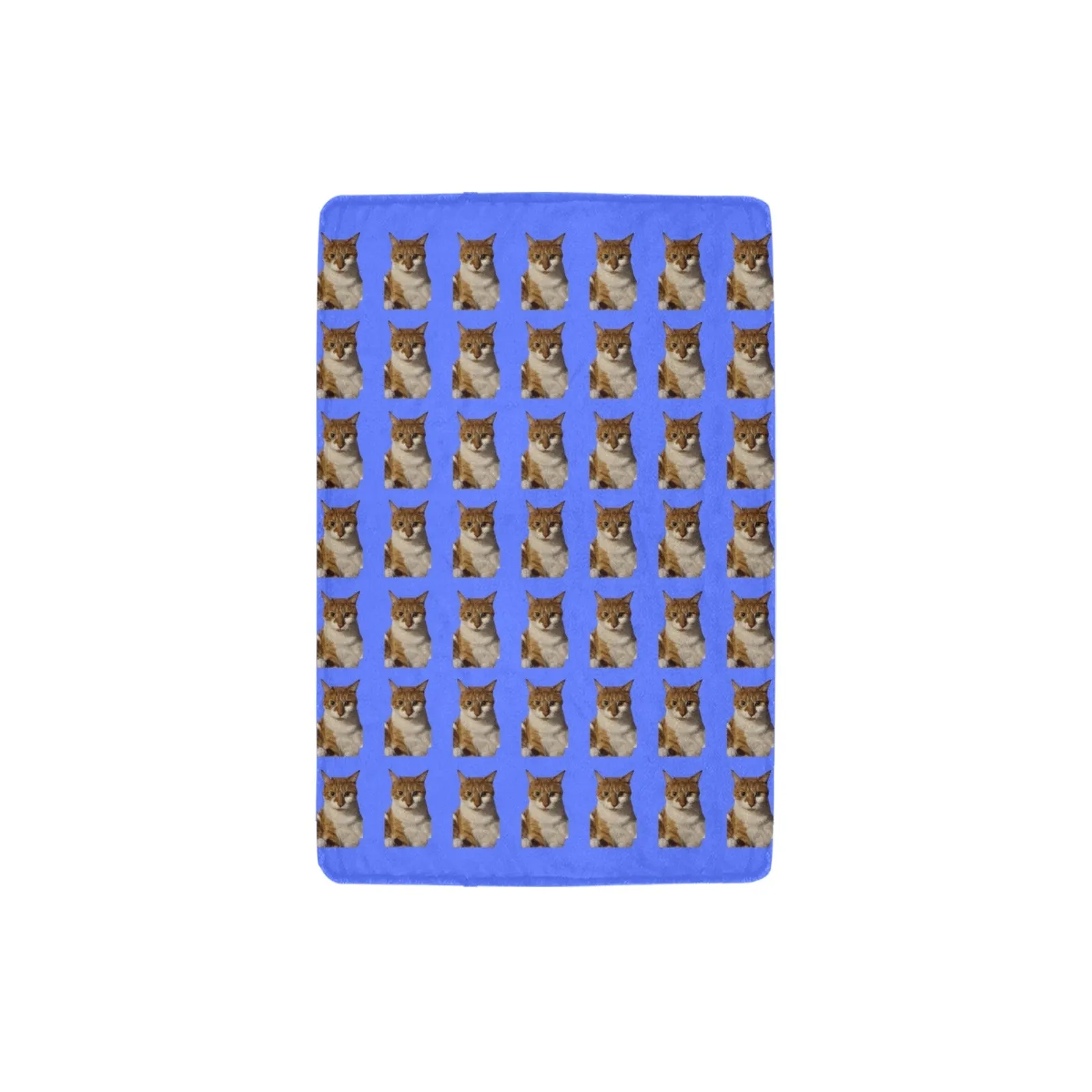 Diane's Cat Blanket