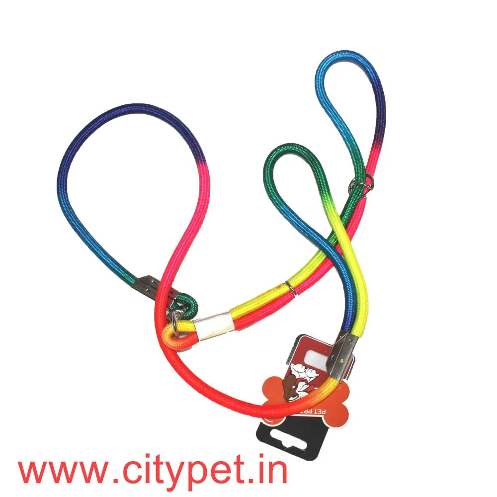 Furry Friend Multicolor Leash with adjustable collar