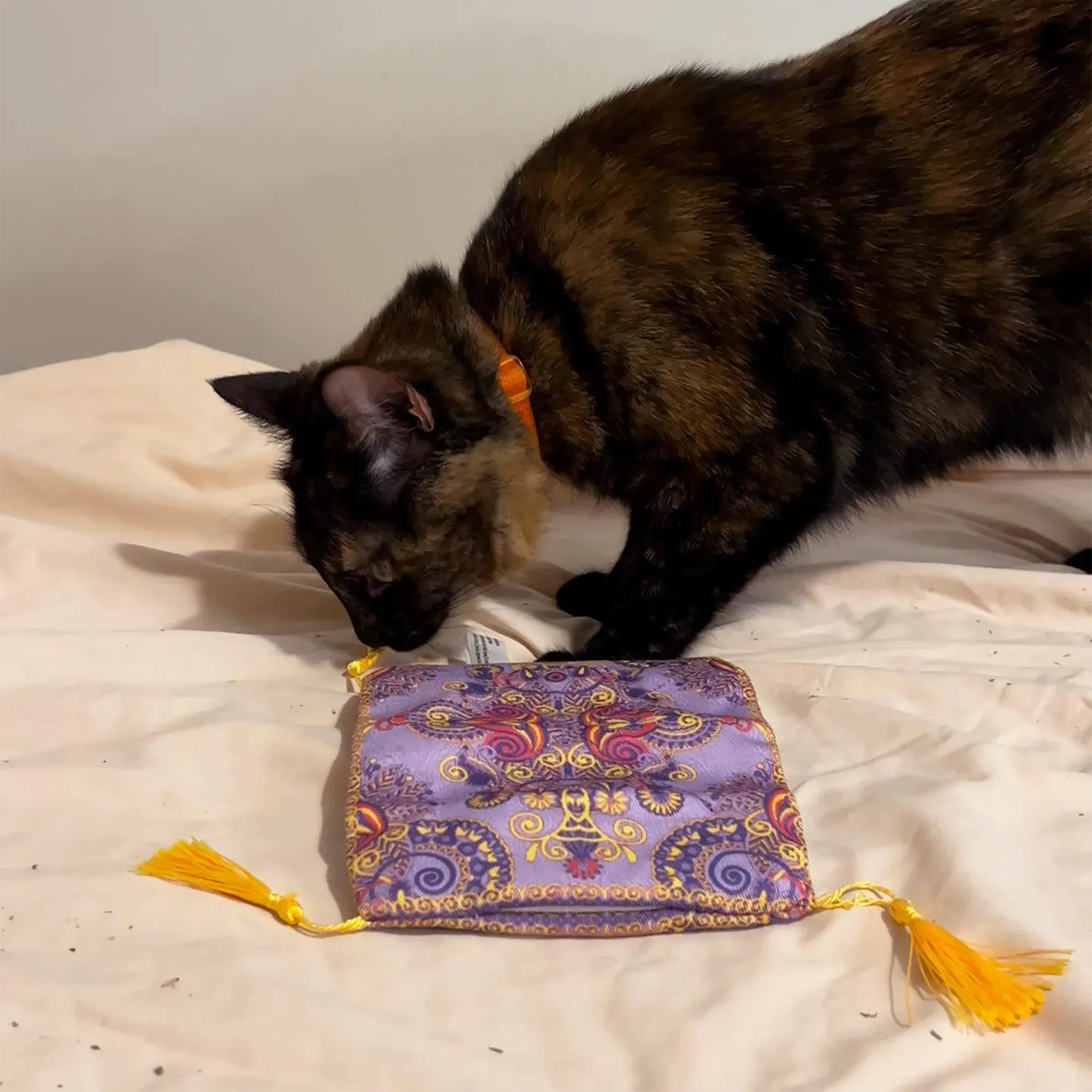 Get a Ride Magic Carpet Refillable Cat Toy
