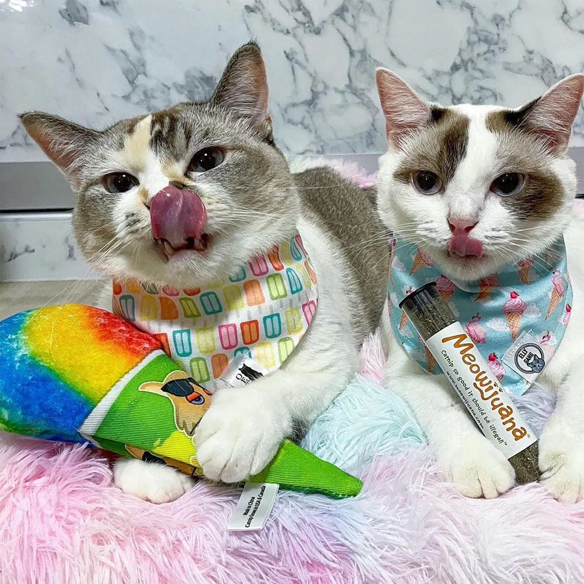 Get Chilled Snow Cone Refillable Cat Toy