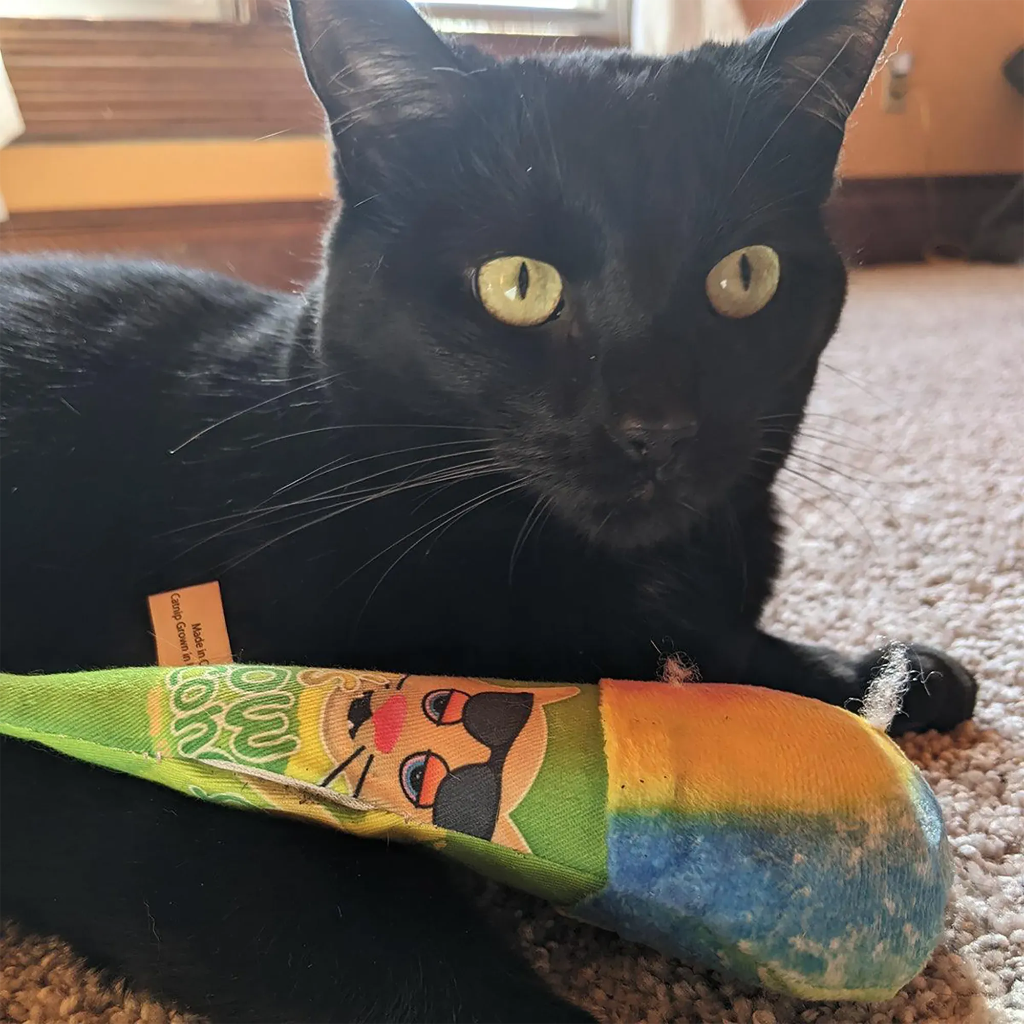 Get Chilled Snow Cone Refillable Cat Toy