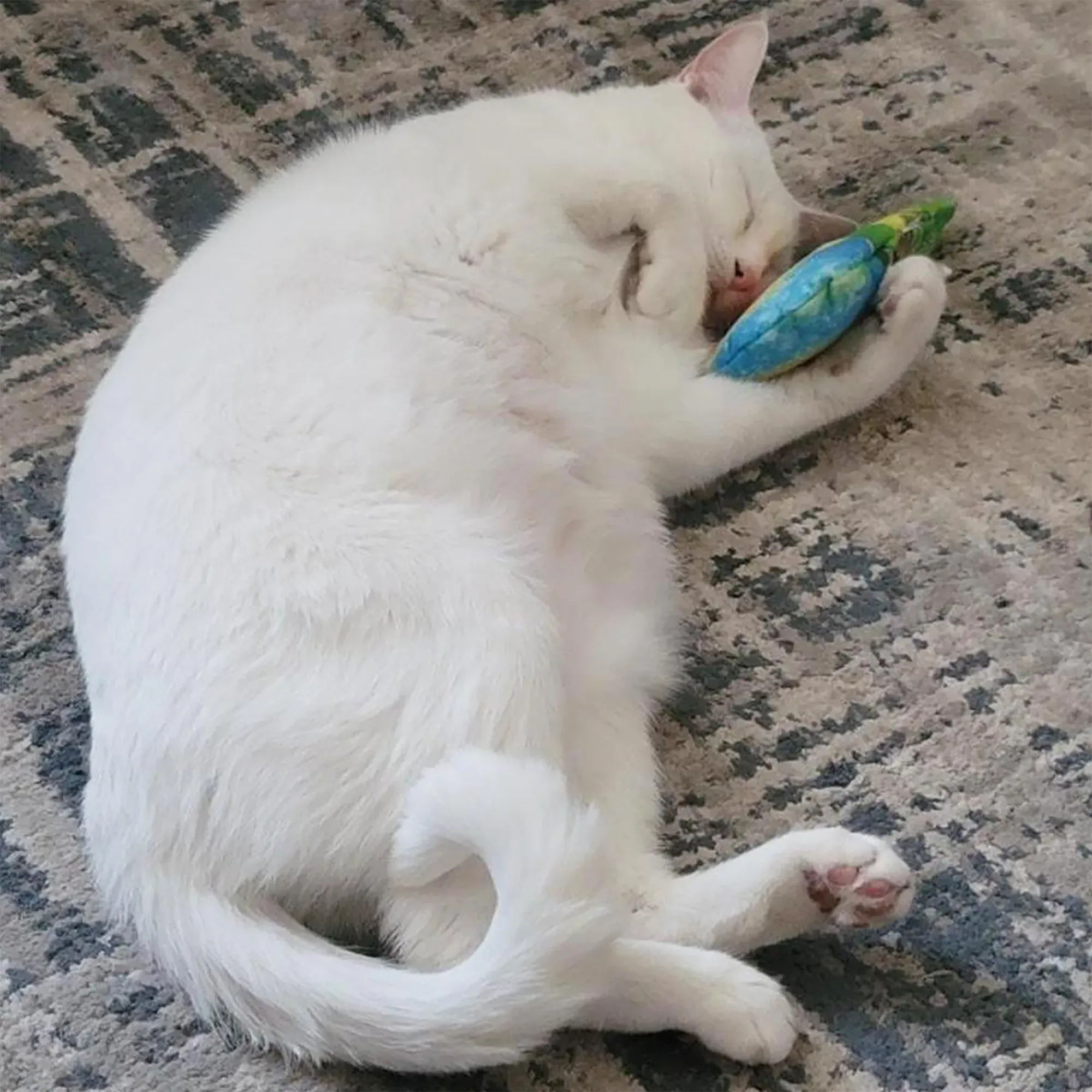 Get Chilled Snow Cone Refillable Cat Toy