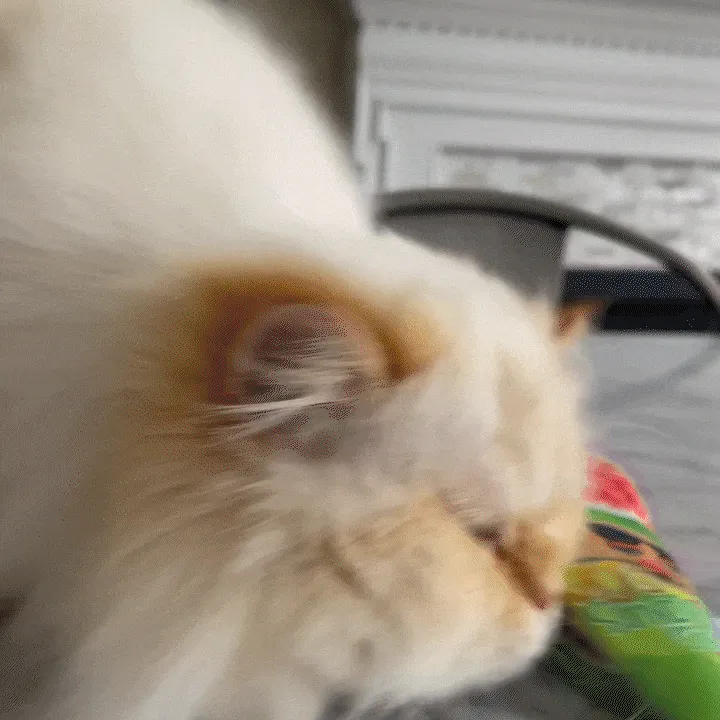 Get Chilled Snow Cone Refillable Cat Toy