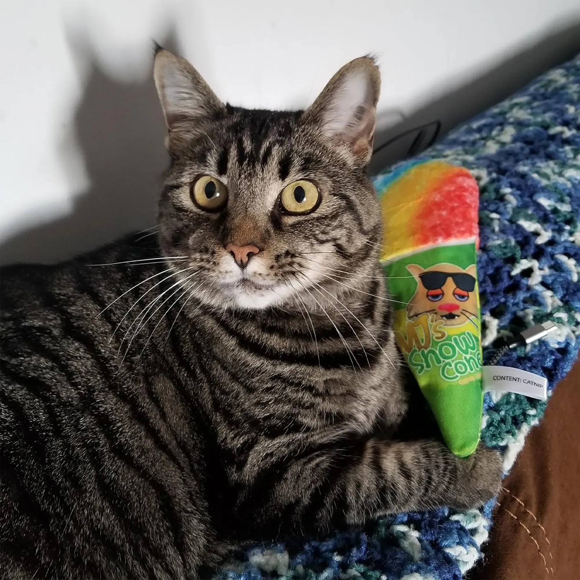 Get Chilled Snow Cone Refillable Cat Toy