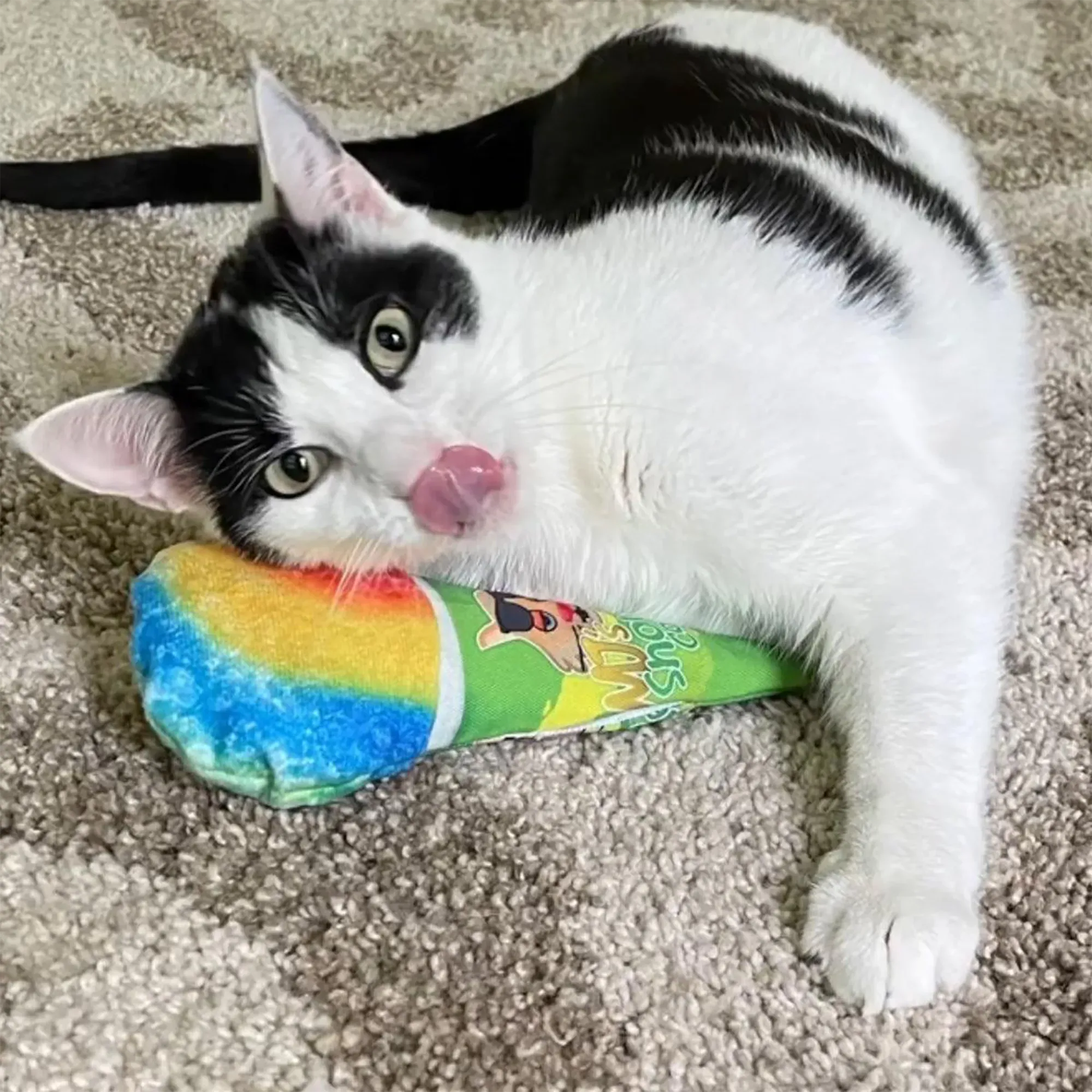 Get Chilled Snow Cone Refillable Cat Toy