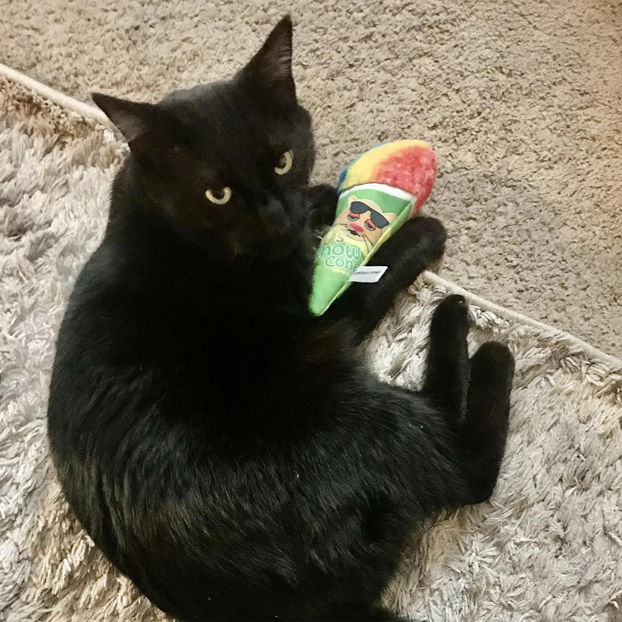 Get Chilled Snow Cone Refillable Cat Toy