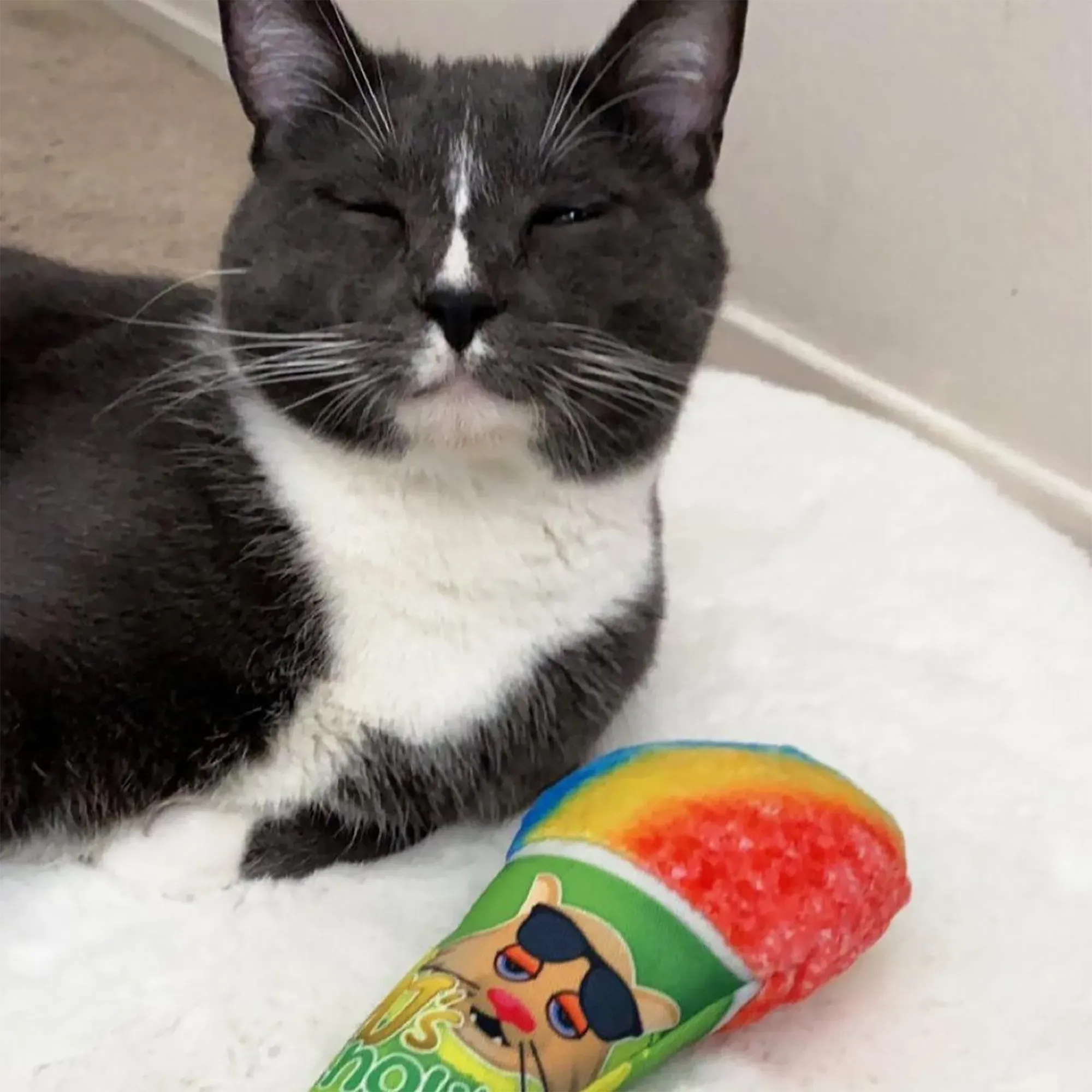 Get Chilled Snow Cone Refillable Cat Toy