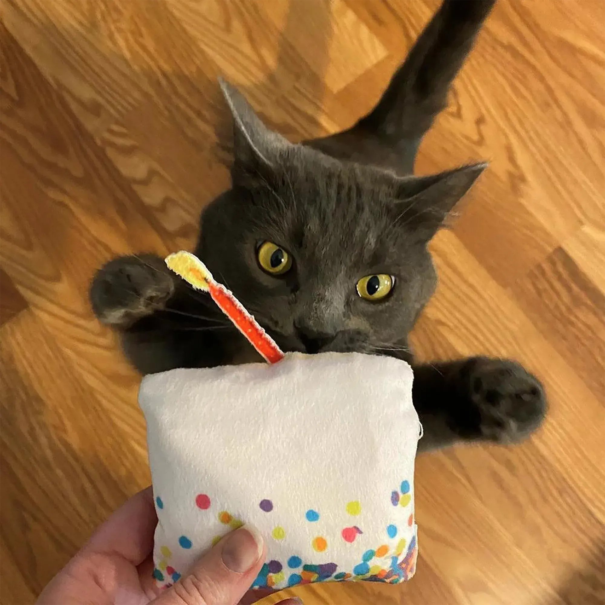 Get Lit Birthday Cake Refillable Cat Toy