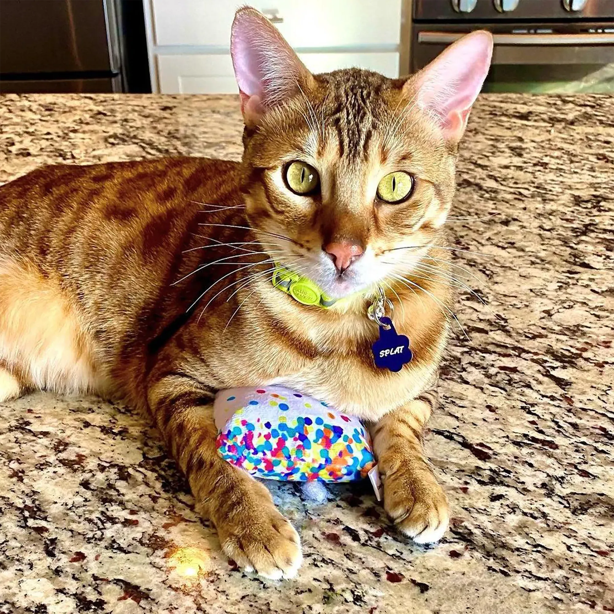 Get Lit Birthday Cake Refillable Cat Toy