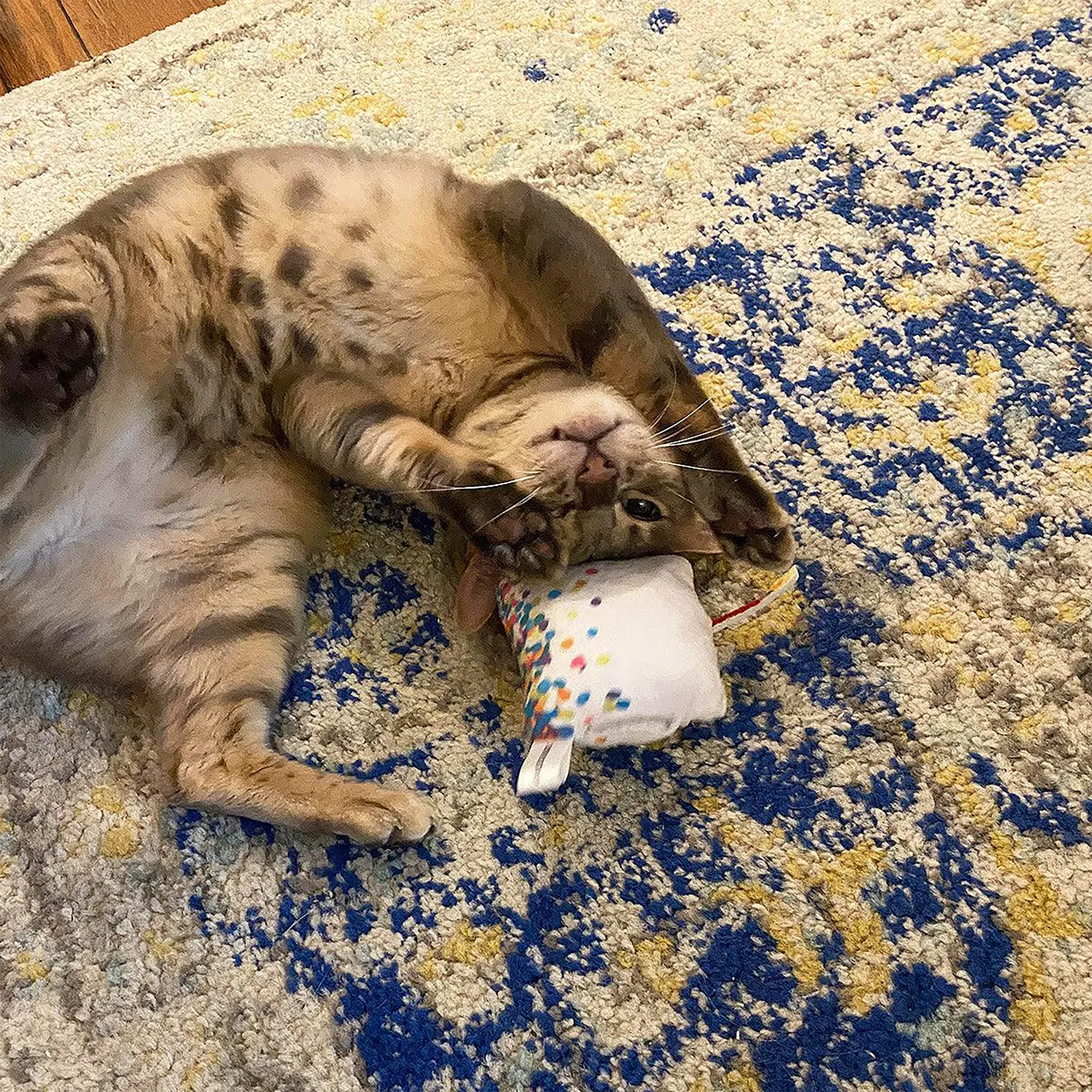 Get Lit Birthday Cake Refillable Cat Toy