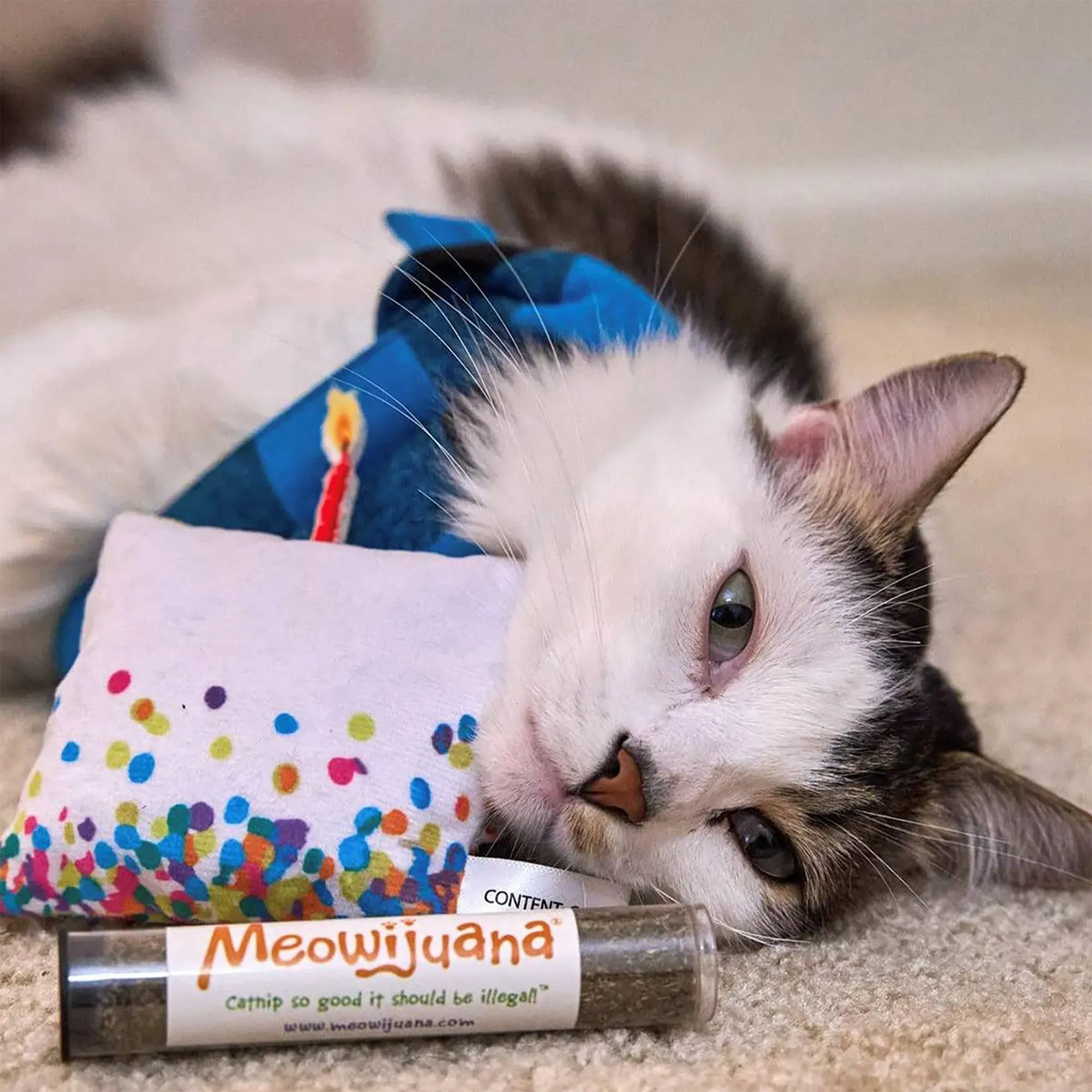 Get Lit Birthday Cake Refillable Cat Toy