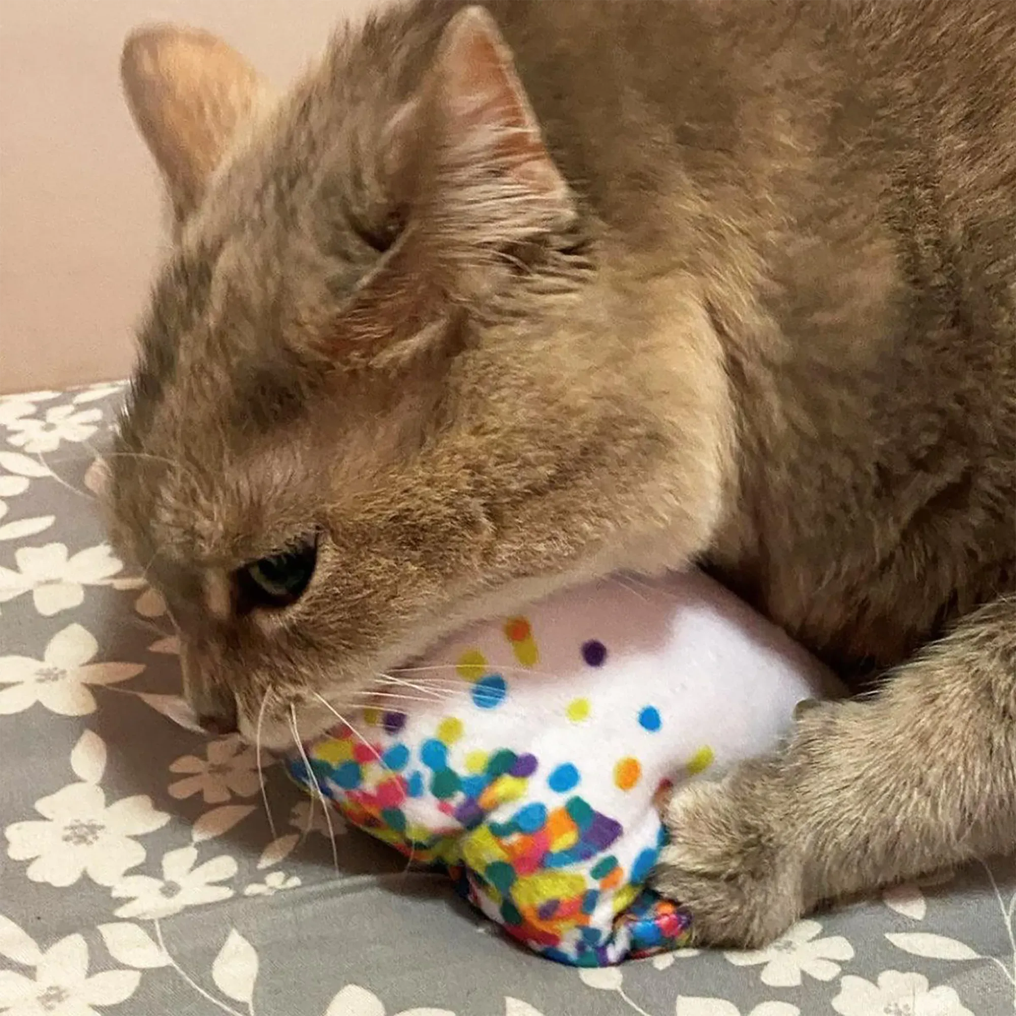 Get Lit Birthday Cake Refillable Cat Toy