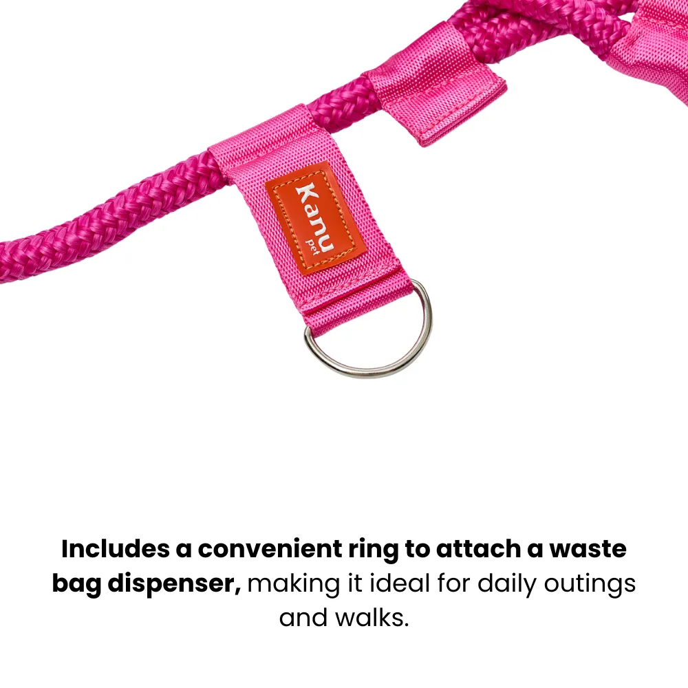 Kanu Pet Fuchsia Polo Dog Leash