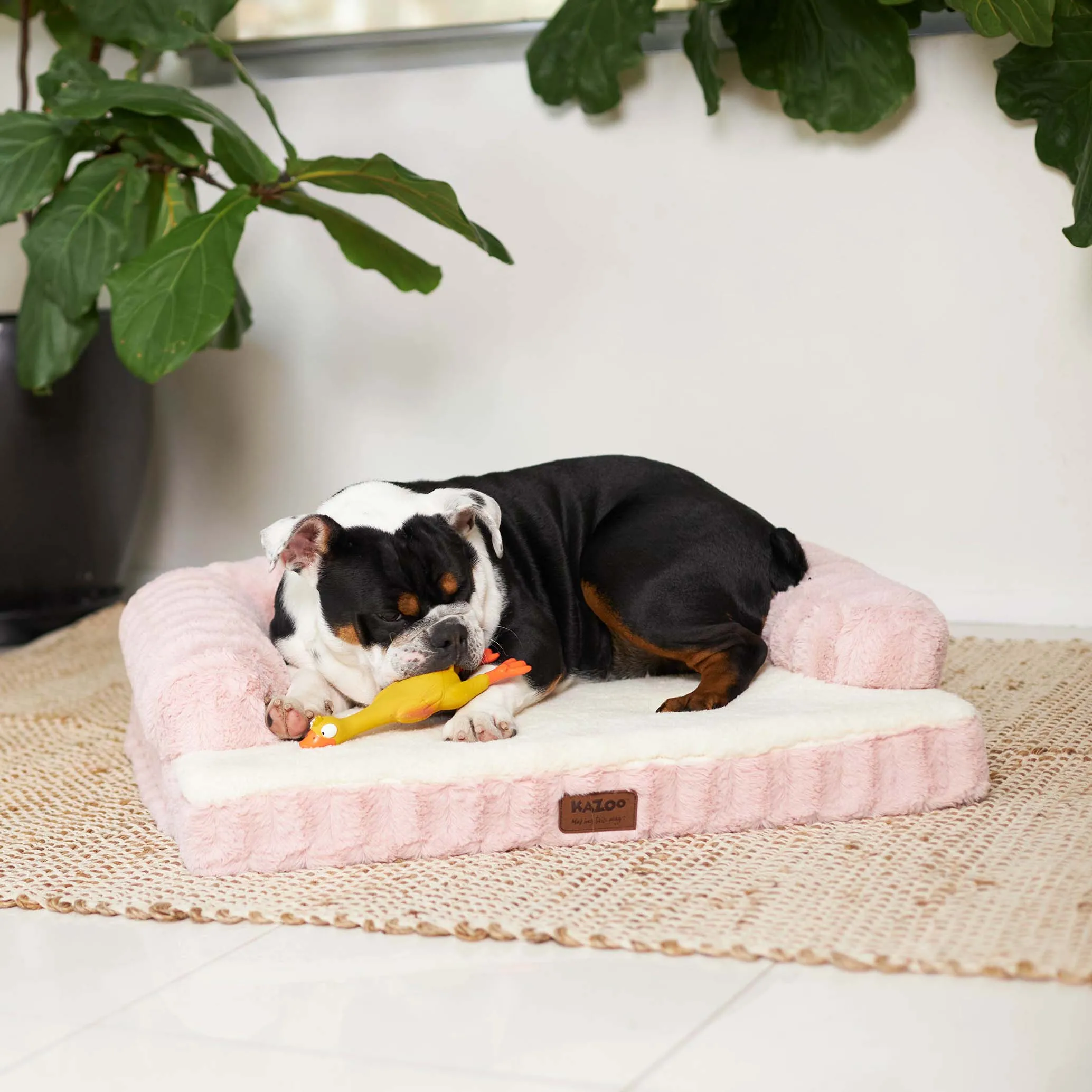Kazoo Boudoir Large Blush Dog Bed^^^