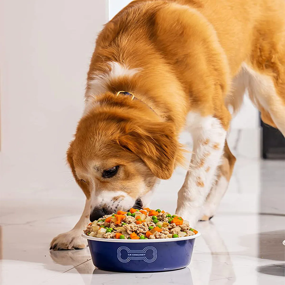 Le Creuset 4 cup Medium Dog Bowl - Orange