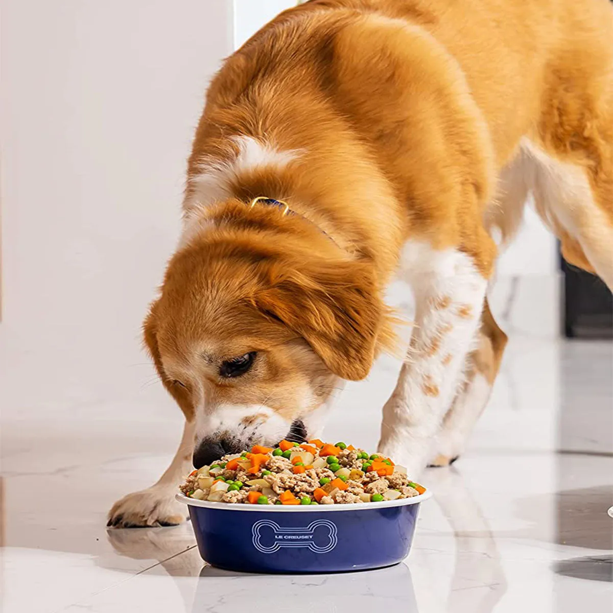 Le Creuset 6 cup Large Dog Bowl - Dark Blue