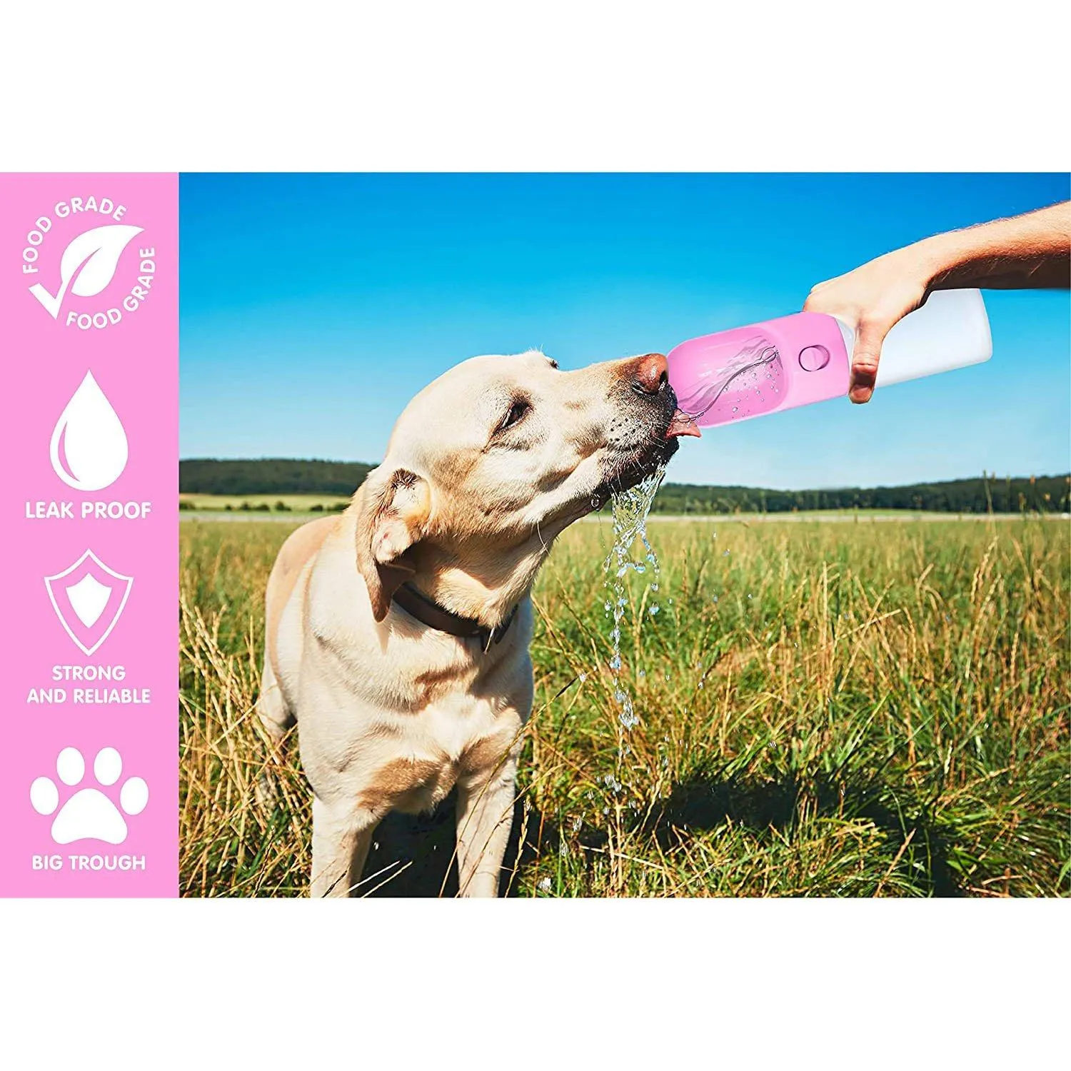 Leak-Proof Dog Water Dispenser with Drinking Feeder for Pets