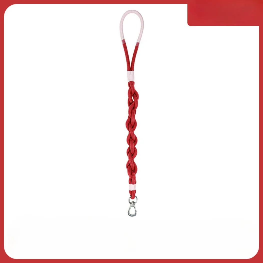 Loofie - Colorful Braided Dog Leash 31in