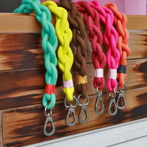 Loofie - Colorful Braided Dog Leash 31in