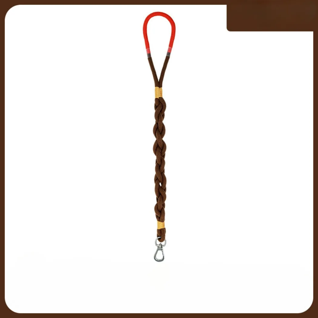 Loofie - Colorful Braided Dog Leash 31in