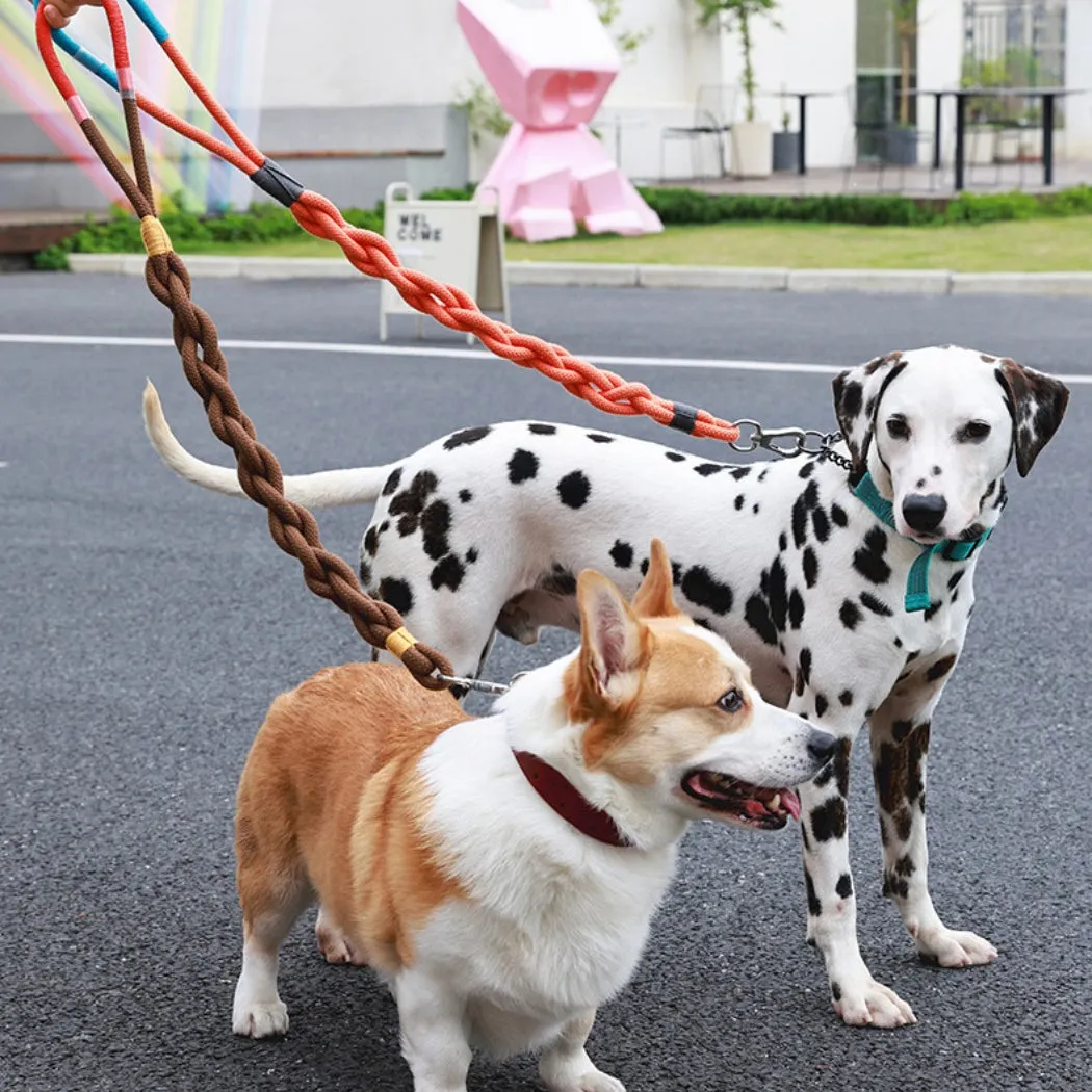 Loofie - Colorful Braided Dog Leash 31in