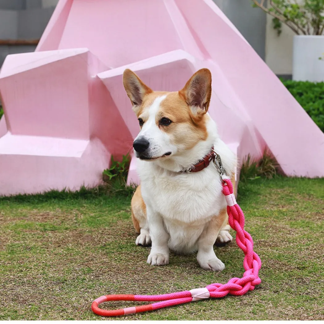 Loofie - Colorful Braided Dog Leash 31in