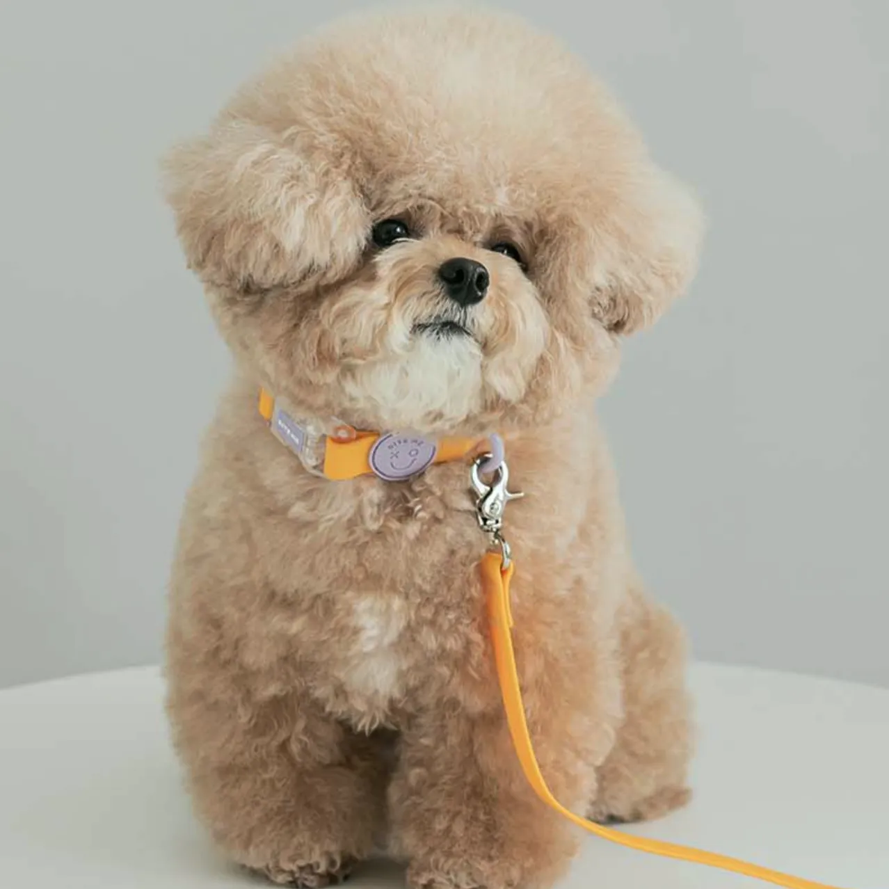 Macaron Waterproof Collar - Honey Yellow