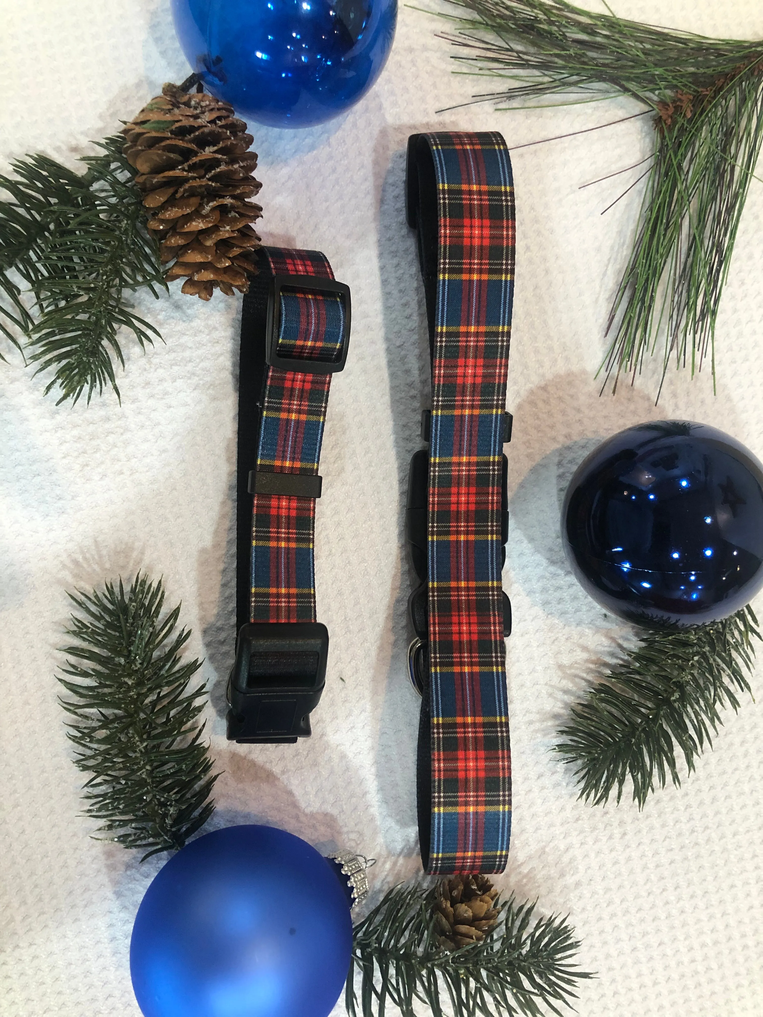 Personalized Dog Collar (2 sizes)