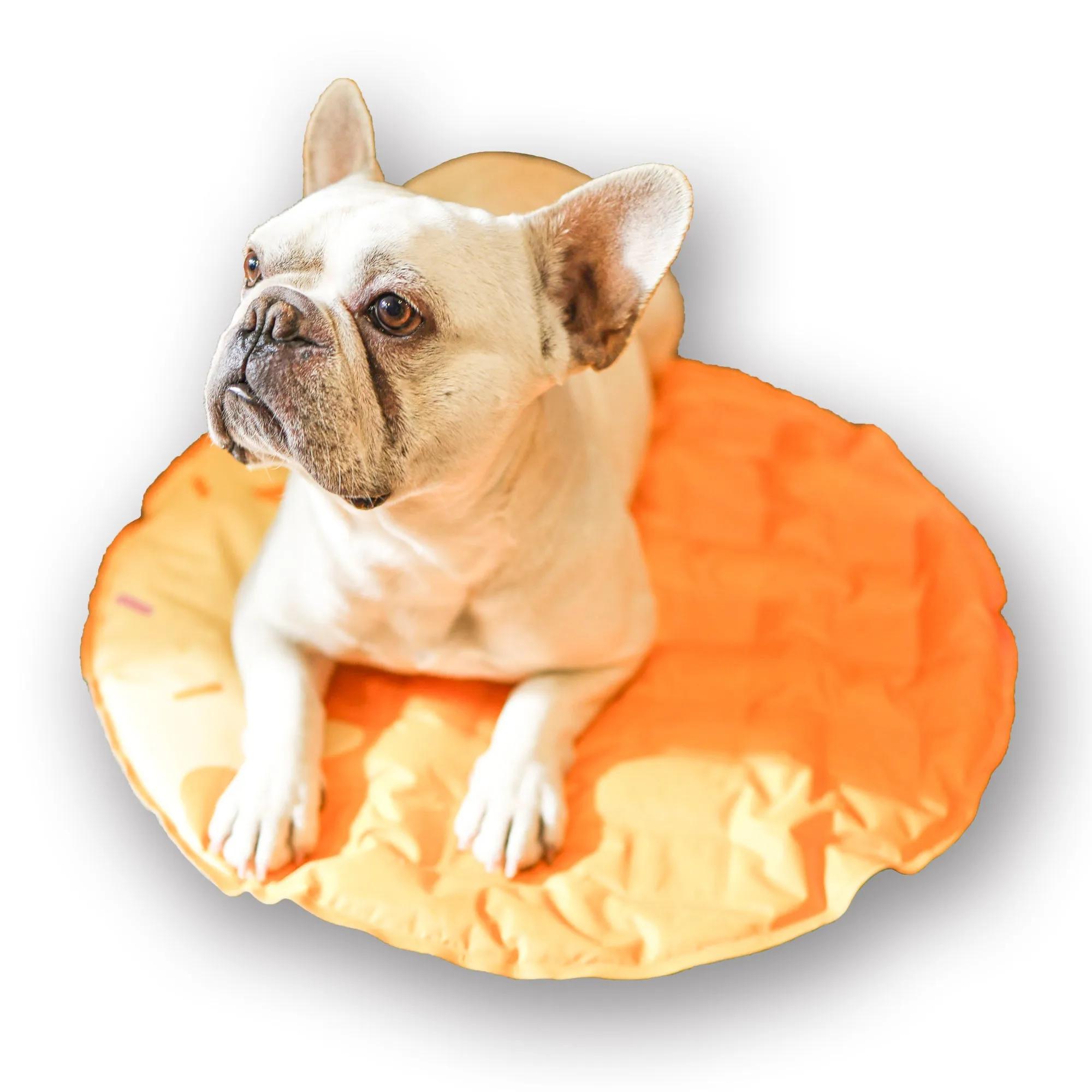 Pet Cooling Mat, Orange, 23.6-in