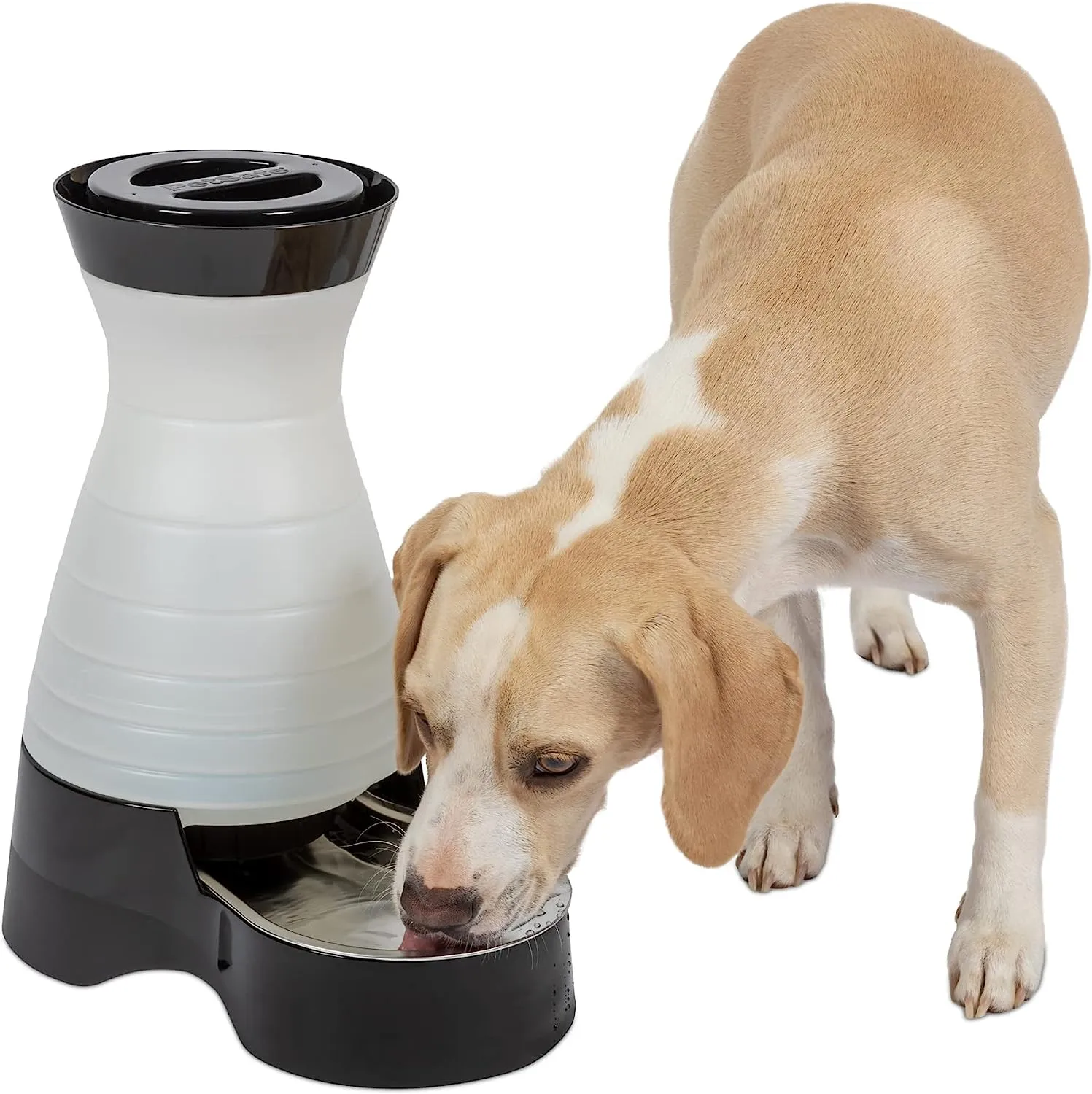 Petsafe Healthy Pet Waterer