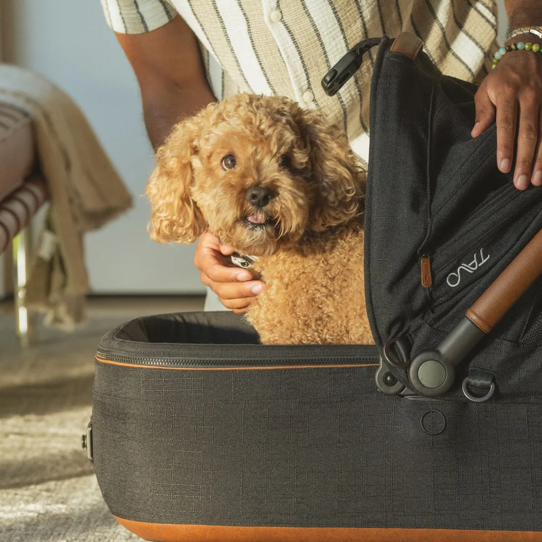TAVO Pets Maeve Pet Car Seat - Medium Rigid